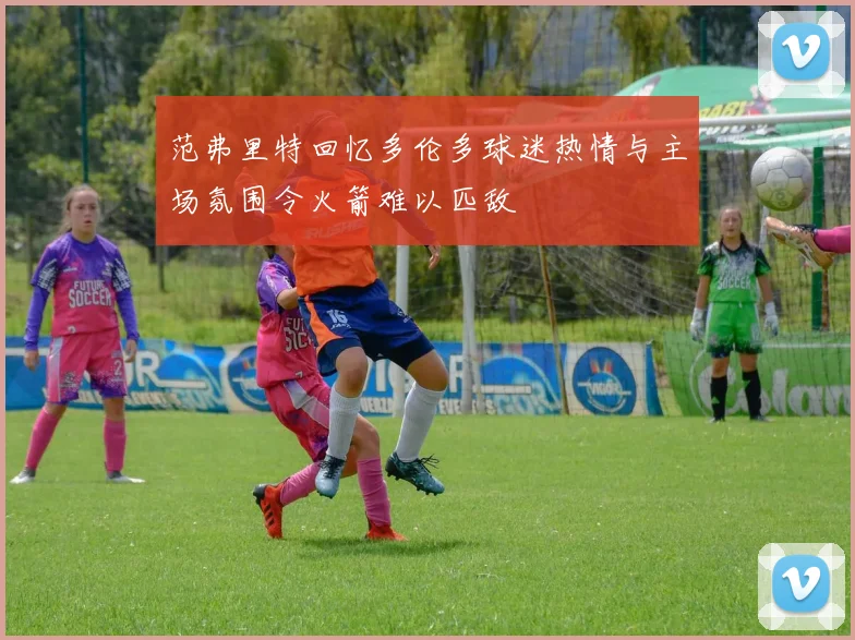 范弗里特回忆多伦多球迷热情与主场氛围令火箭难以匹敌