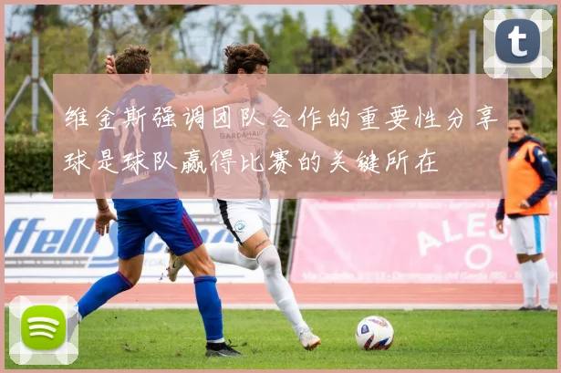 维金斯强调团队合作的重要性分享球是球队赢得比赛的关键所在