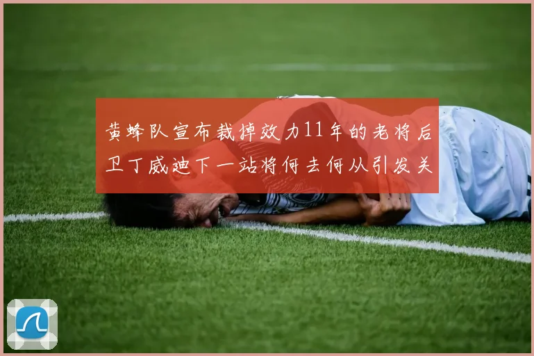 黄蜂队宣布裁掉效力11年的老将后卫丁威迪下一站将何去何从引发关注