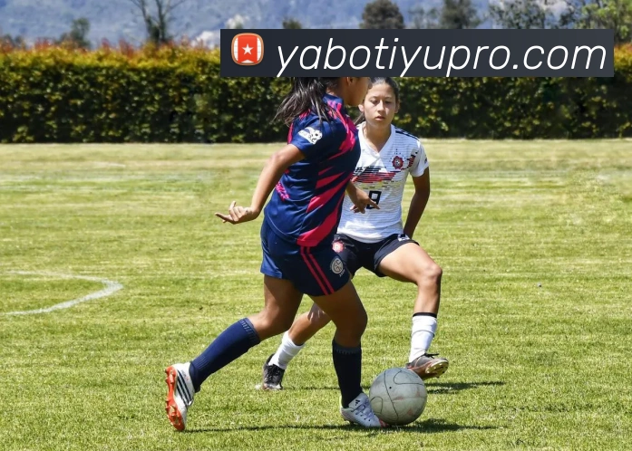 亚博体育APP 封面图